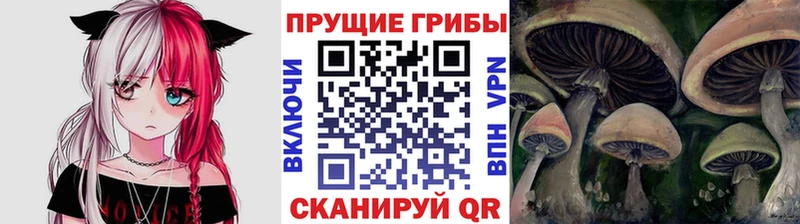 мориарти наркотические препараты  Нолинск  Псилоцибиновые грибы GOLDEN TEACHER 