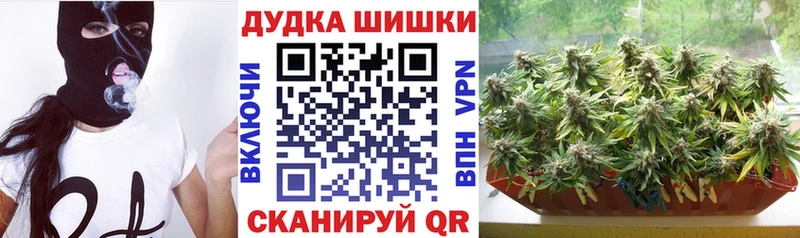 Каннабис гибрид Нолинск